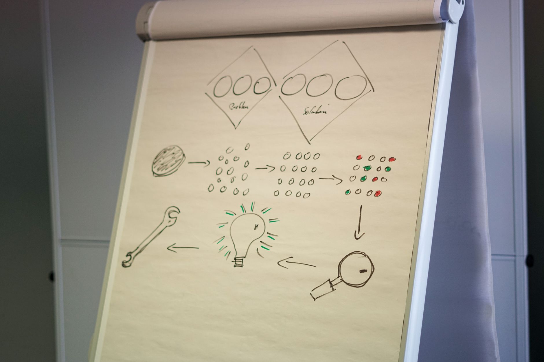 Strategic corporate mapping on a digital interface
